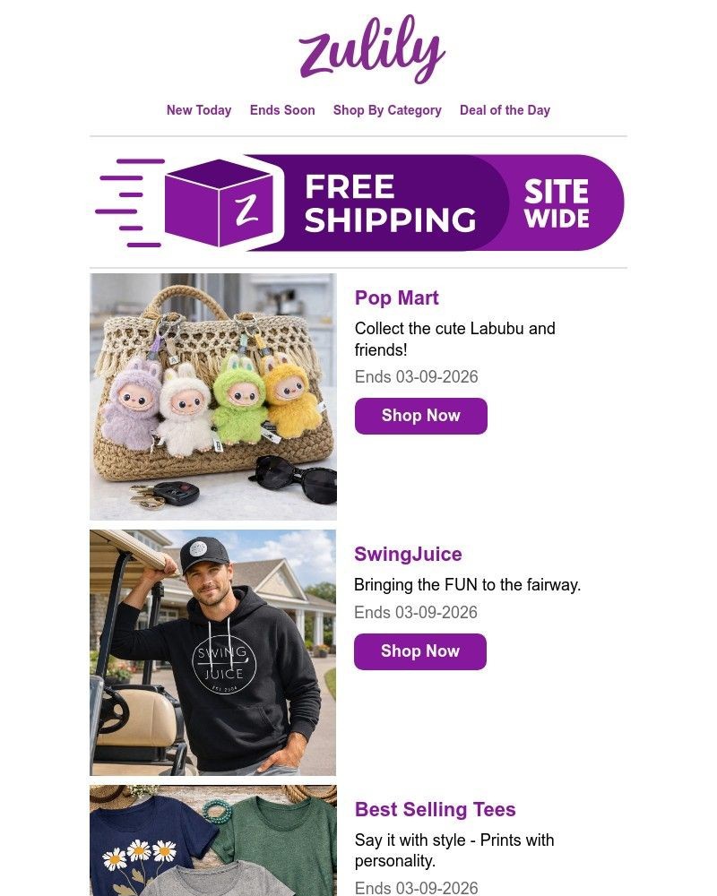 Screenshot of email with subject /media/emails/rise-shop-fcf3a6-cropped-92a4d27c.jpg