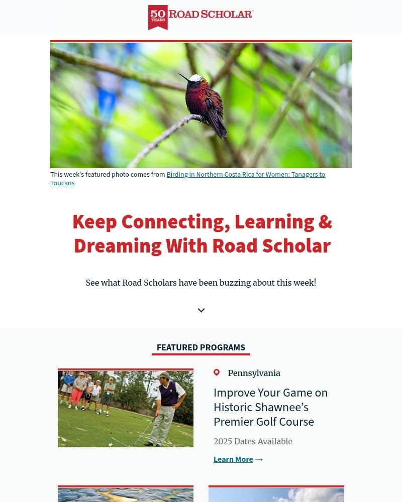 Screenshot of email with subject /media/emails/road-scholar-review-this-weeks-cant-miss-clicks-d0d763-cropped-96487729.jpg