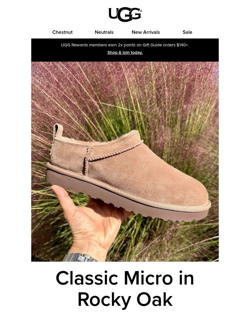 Screenshot of email with subject /media/emails/rocky-oak-is-coming-back-3ecef8-cropped-6b24e1fe.jpg