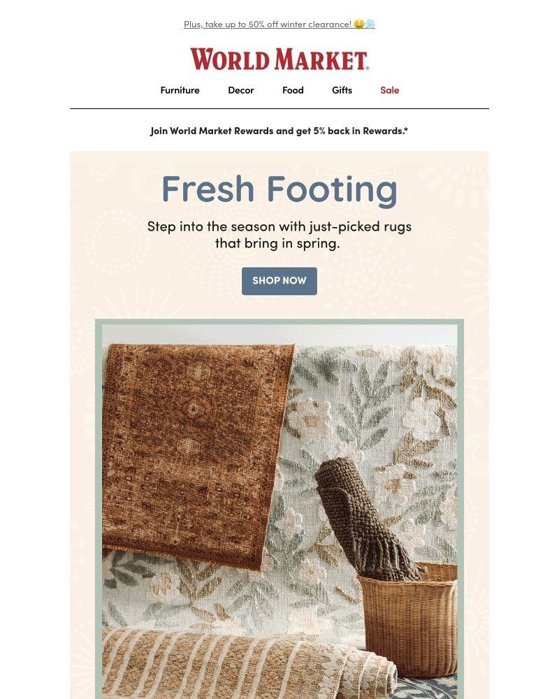 Screenshot of email with subject /media/emails/roll-out-a-refresh-with-new-spring-rugs-f324a5-cropped-784e512a.jpg