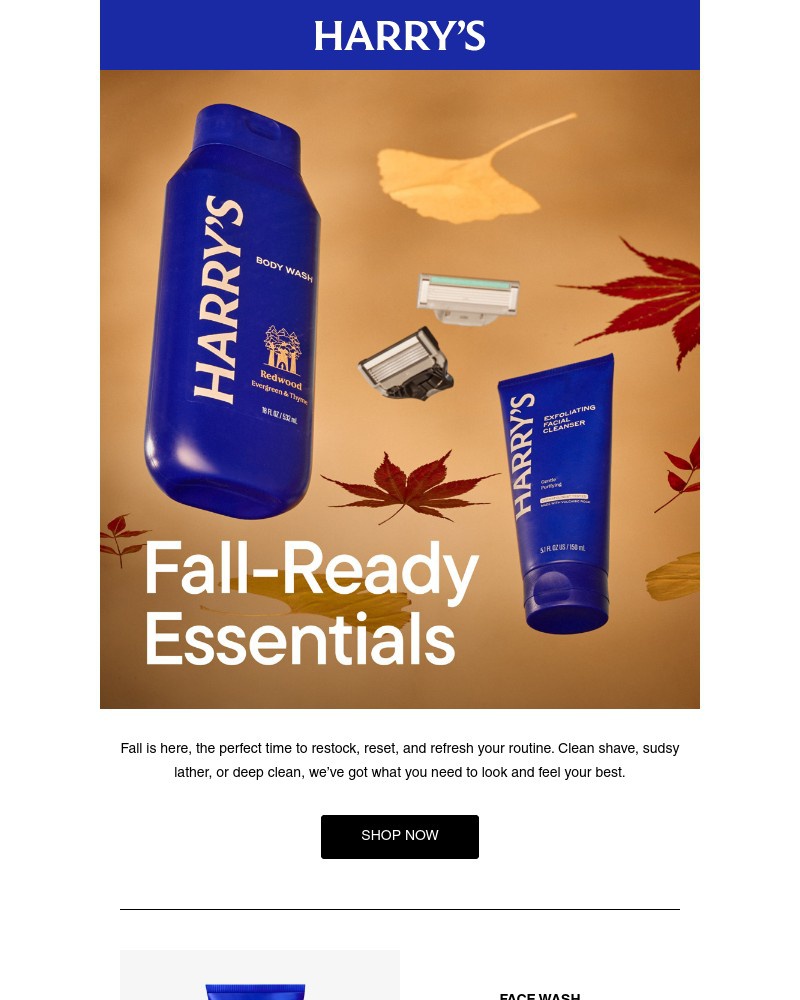 Screenshot of email with subject /media/emails/routine-upgrade-fall-edition-a81900-cropped-8fc67b7e.jpg