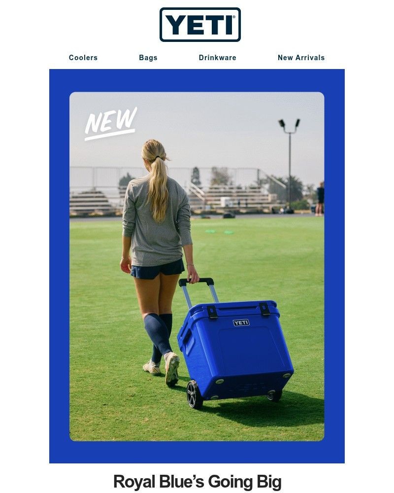 Screenshot of email sent to a Yeti Newsletter subscriber