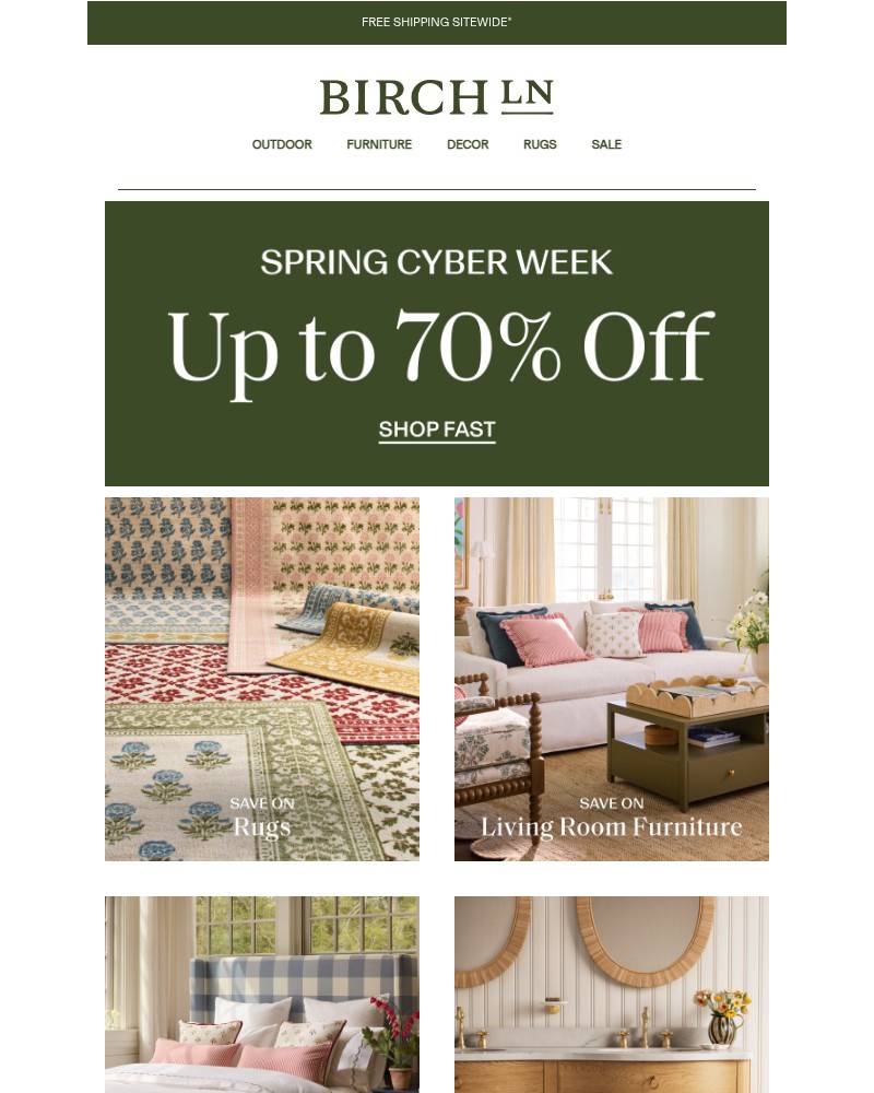 Screenshot of email with subject /media/emails/rug-clearance-shop-now-159f41-cropped-7baffe6c.jpg