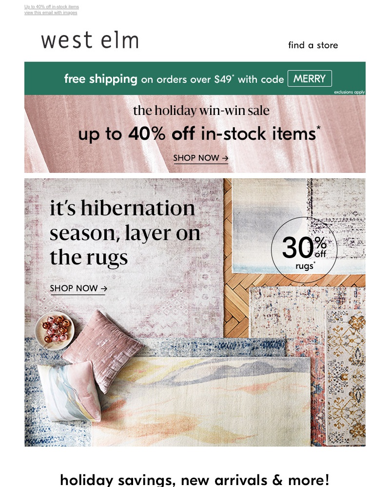 Screenshot of email with subject /media/emails/rugs-30-off-cropped-e78f6383.jpg