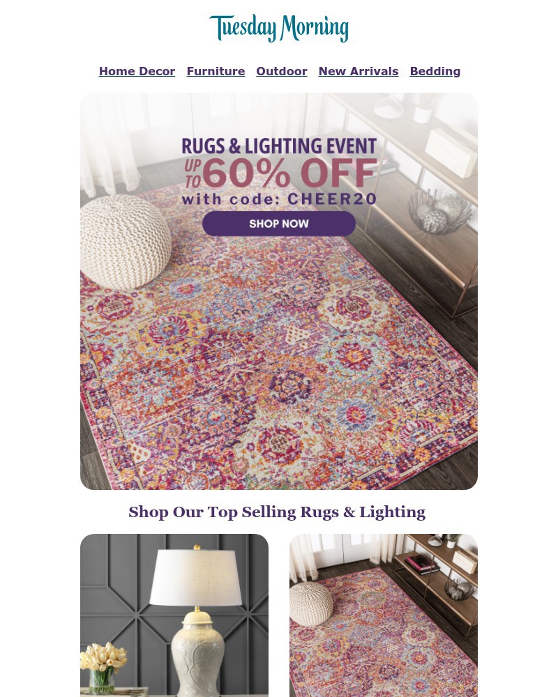 Screenshot of email with subject /media/emails/rugs-lighting-event-up-to-60-off-limited-time-578a37-cropped-a05c9d10.jpg