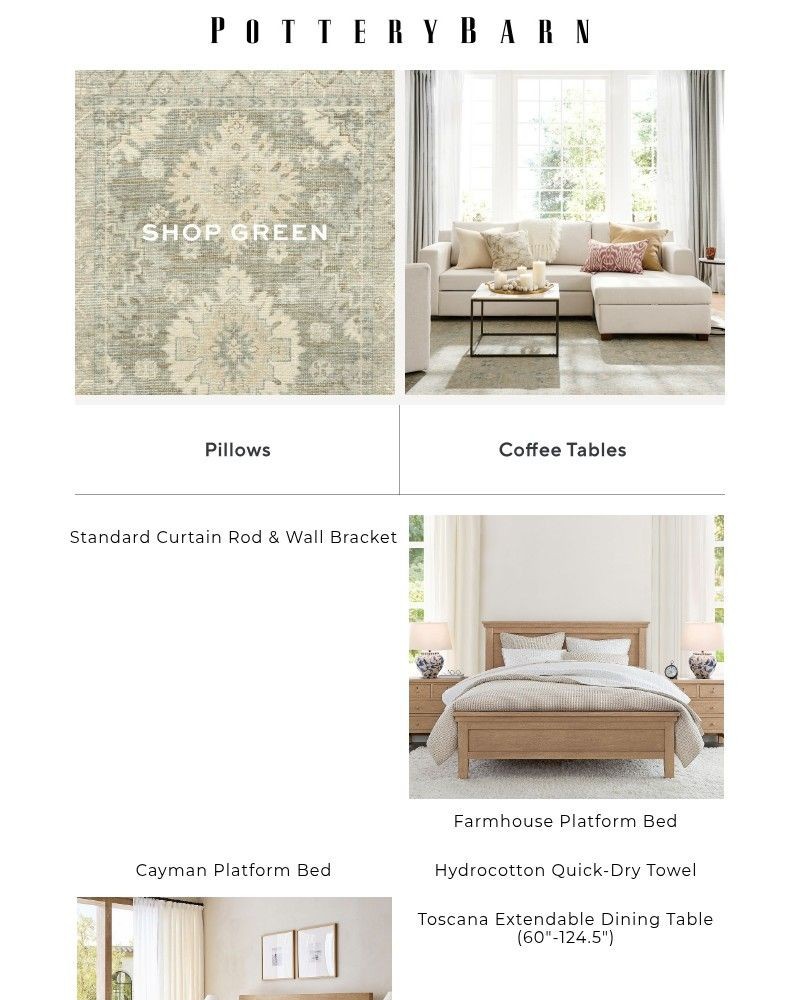 Screenshot of email with subject /media/emails/rugs-that-give-any-room-a-fresh-pov-78d96c-cropped-d432957d.jpg