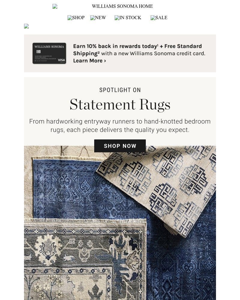 Screenshot of email with subject /media/emails/rugs-that-pull-it-all-together-471e99-cropped-3eb38f67.jpg