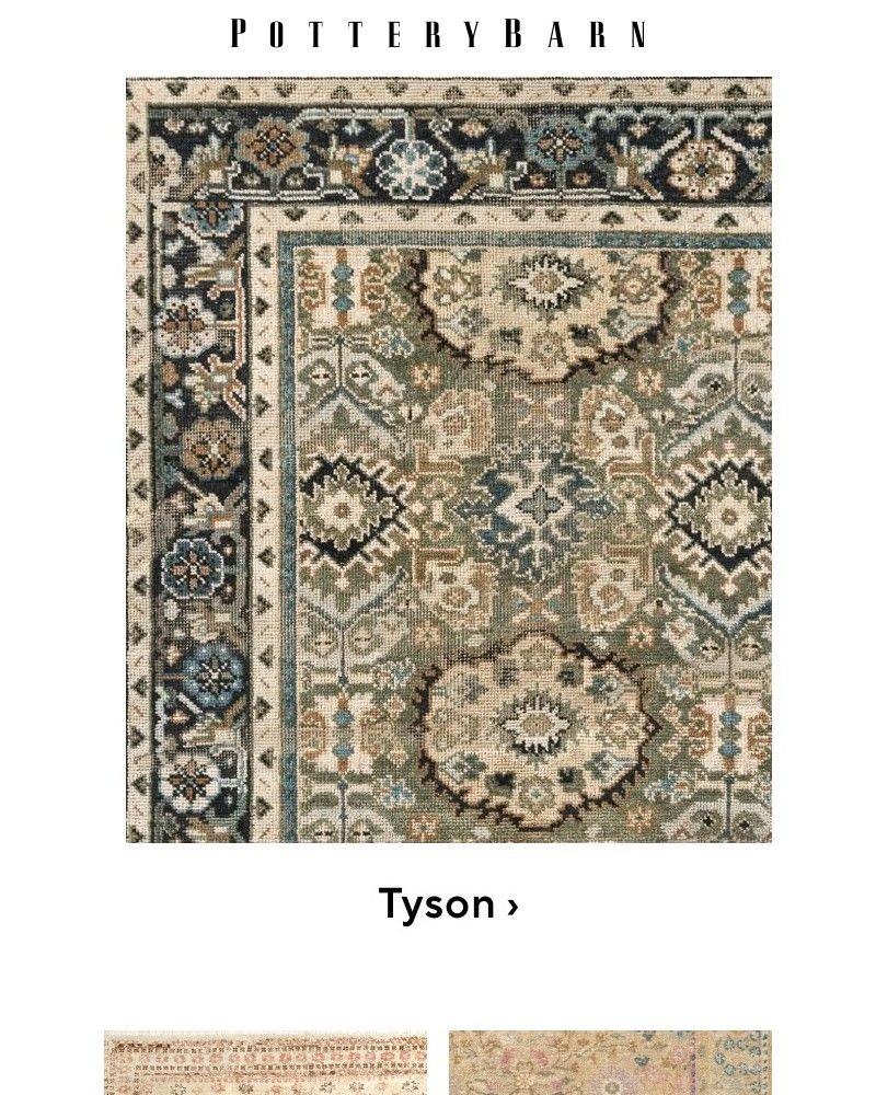 Screenshot of email with subject /media/emails/rugs-to-ground-your-space-in-color-7bf09e-cropped-db94ce2a.jpg