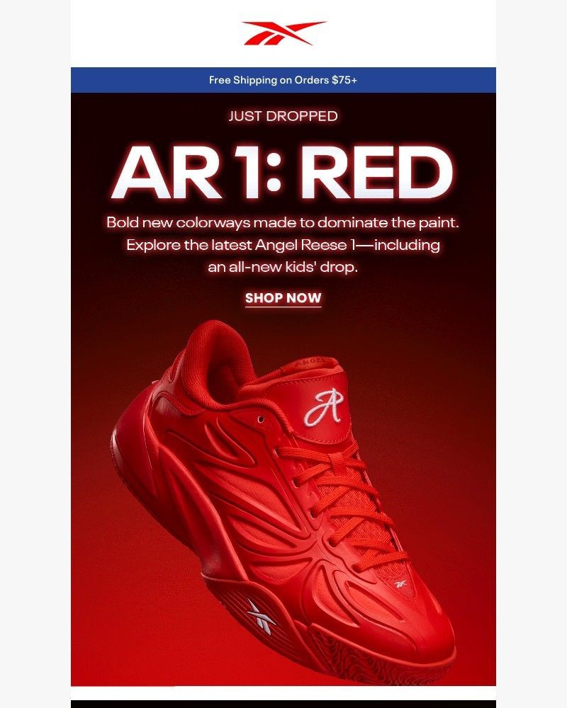 Screenshot of email with subject /media/emails/rule-the-court-d63885-cropped-7e45f7cd.jpg