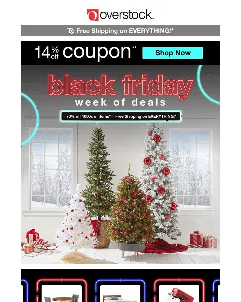 Screenshot of email with subject /media/emails/run-dont-walk-14-off-coupon-take-advantage-of-black-friday-prices-513a57-cropped-b1ca69a7.jpg