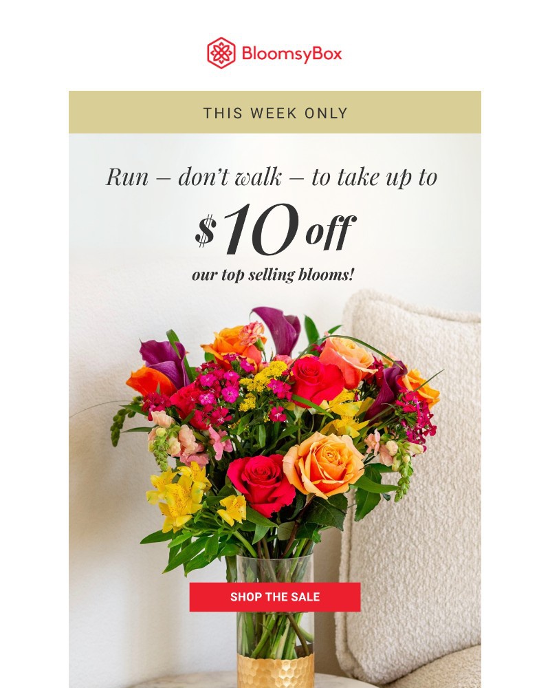 Screenshot of email with subject /media/emails/run-dont-walk-aff53b-cropped-a42daf24.jpg