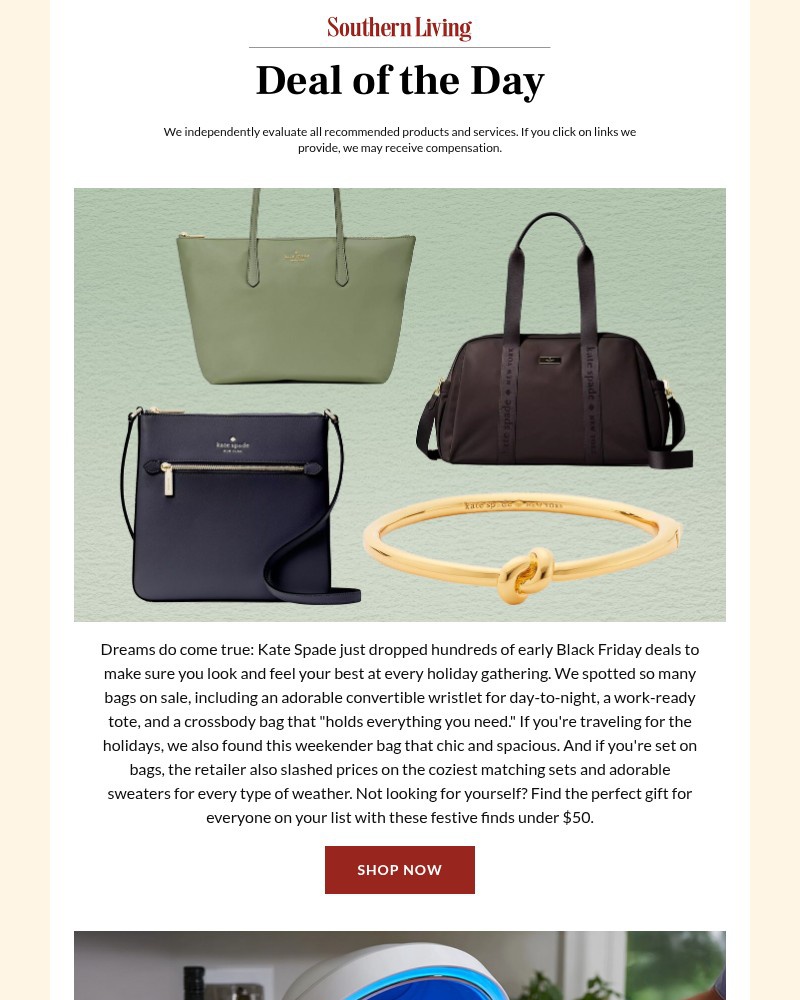 Screenshot of email with subject /media/emails/run-we-found-kate-spade-bags-up-to-70-off-ahead-of-black-friday-61eedb-cropped-d91a3554.jpg