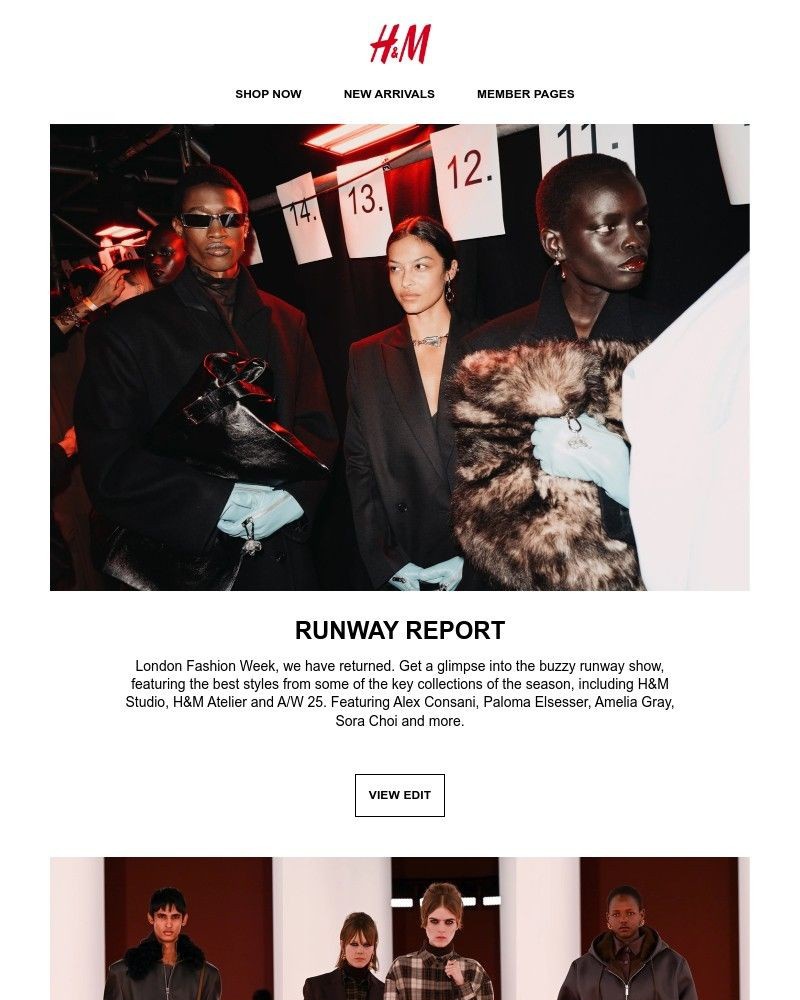 Screenshot of email with subject /media/emails/runway-report-ad03cb-cropped-d1295cbc.jpg