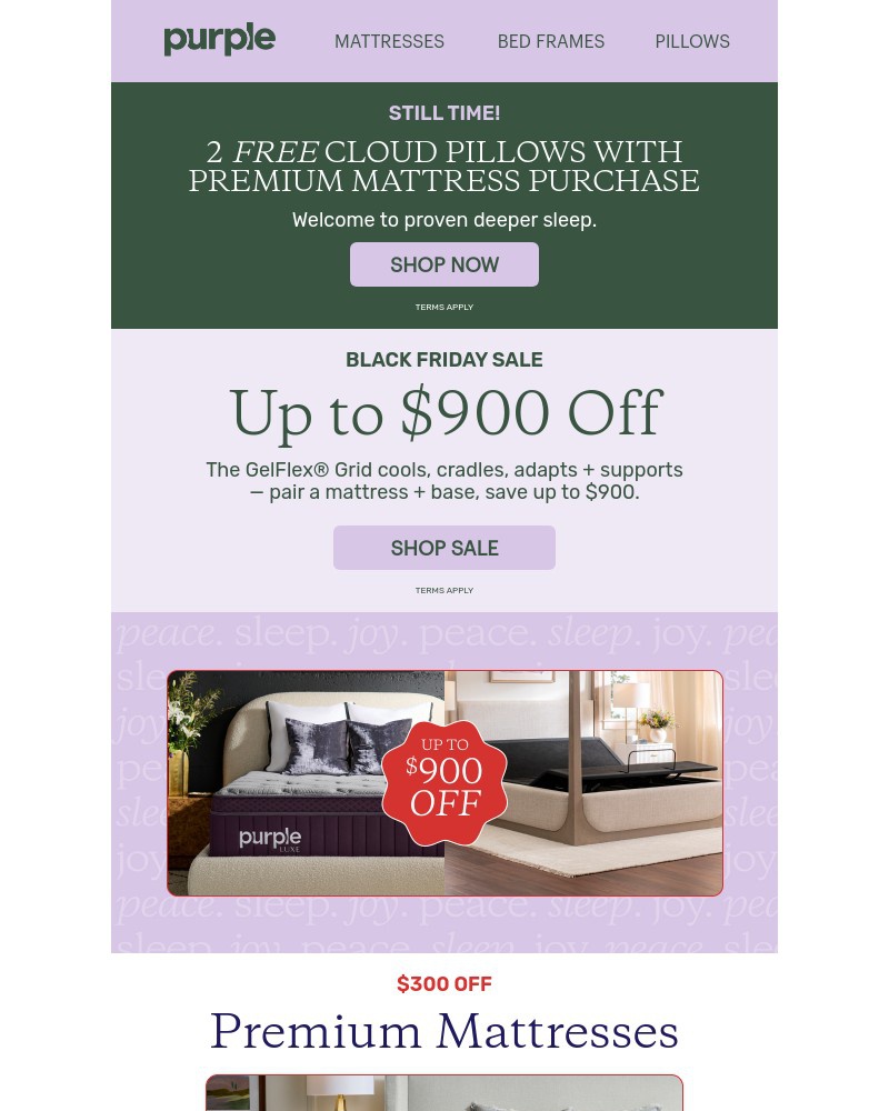 Screenshot of email with subject /media/emails/s-almost-up-black-friday-2-free-pillows-d6e03c-cropped-bf901b89.jpg