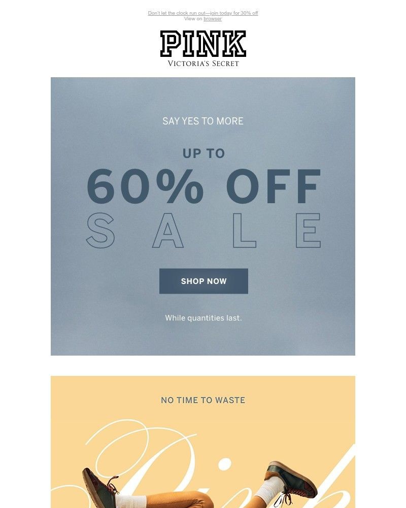 Screenshot of email with subject /media/emails/sale-alert-take-up-to-60-off-38cd62-cropped-9f8dc486.jpg
