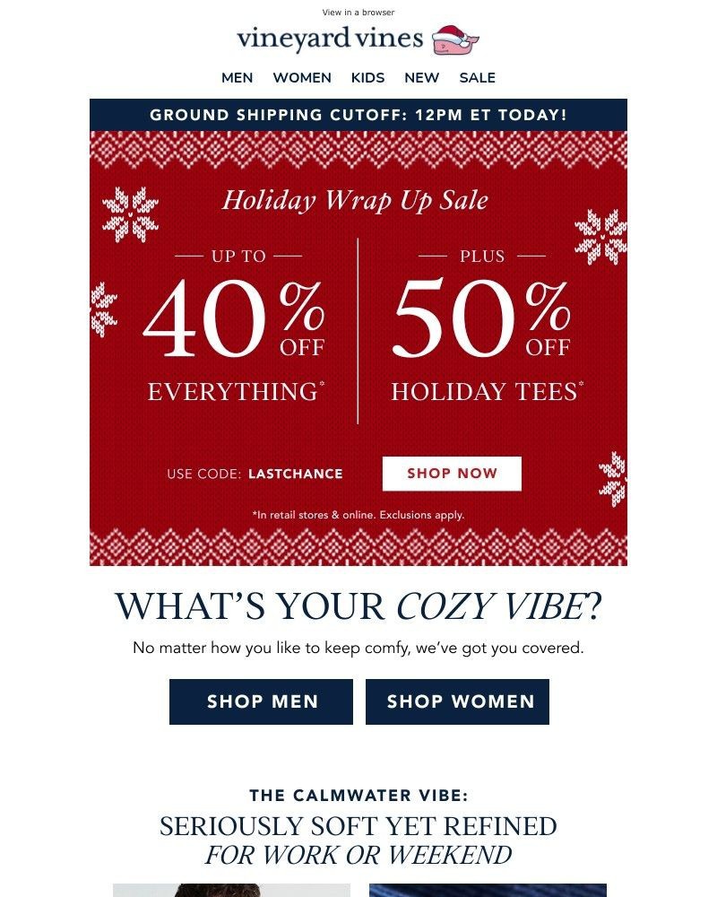 Screenshot of email sent to a Vineyard Vines Newsletter subscriber
