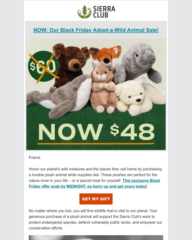 Screenshot of email with subject /media/emails/sale-black-friday-gifts-that-protect-the-planet-c758c2-cropped-571acbd6.jpg