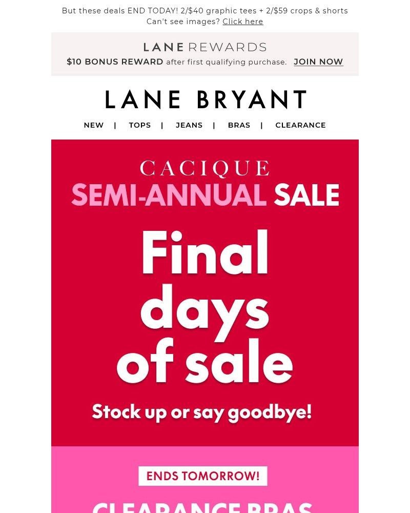Screenshot of email with subject /media/emails/sale-ends-tmrw-1699-bras-399-panties-4f82d0-cropped-feb68c26.jpg