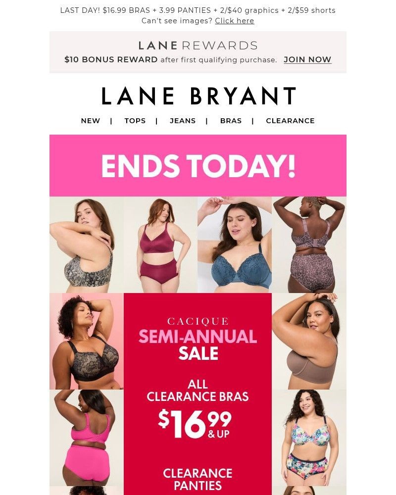 Screenshot of email with subject /media/emails/sale-ends-today-1699-bras-399-panties-8ad6be-cropped-ce3ca160.jpg