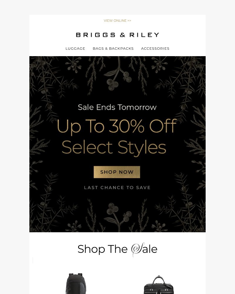 Screenshot of email with subject /media/emails/sale-ends-tomorrow-409434-cropped-4584e2fa.jpg