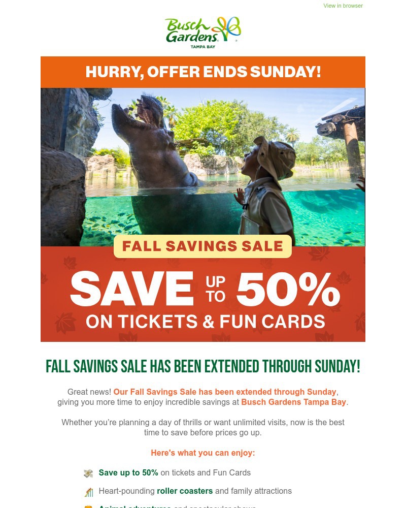 Screenshot of email with subject /media/emails/sale-extended-save-up-to-50-on-tickets-and-fun-cards-dea9b5-cropped-6b3be4d1.jpg