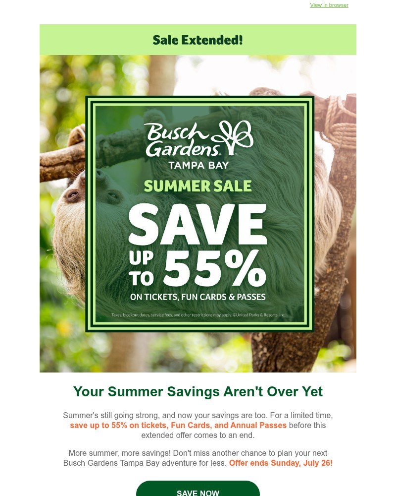 Screenshot of email sent to a Busch Gardens Newsletter subscriber