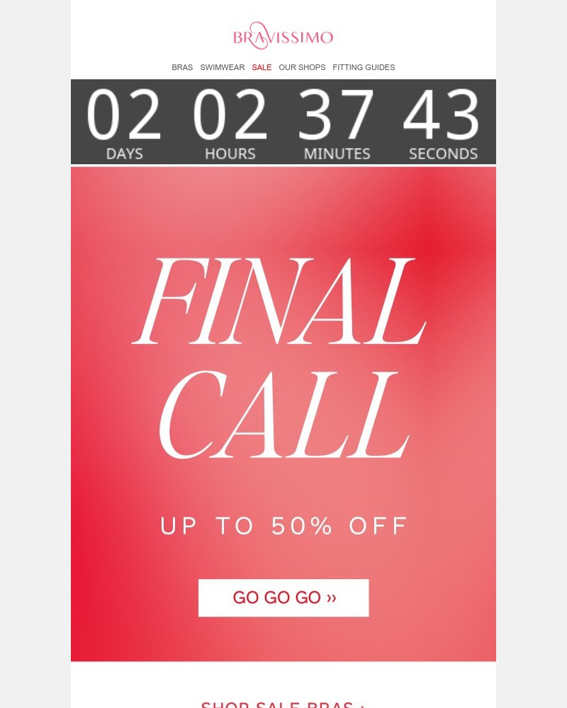 Screenshot of email with subject /media/emails/sale-final-call-863d6c-cropped-ebfc7d3f.jpg