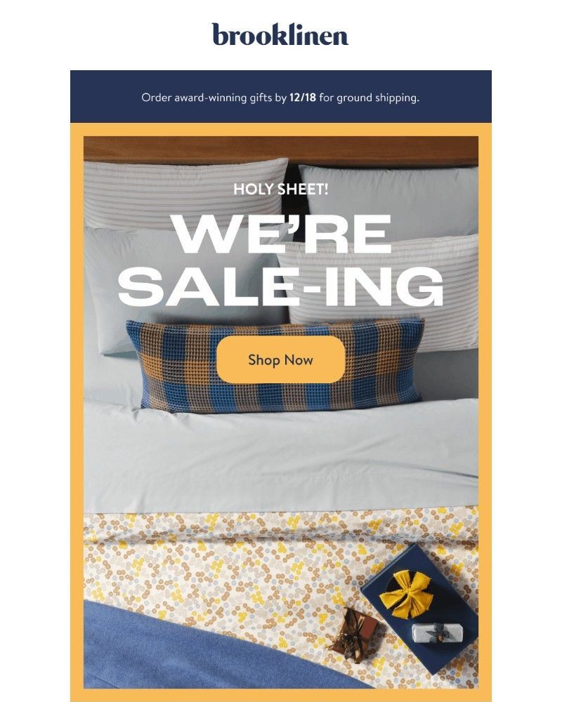 Screenshot of email with subject /media/emails/sale-sale-sale-d5859f-cropped-e0e3ebf2.jpg