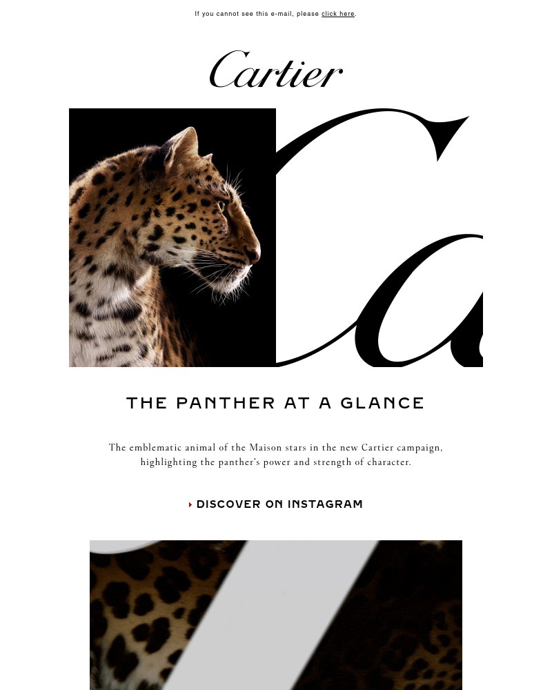Screenshot of email with subject /media/emails/sam-discover-the-cartier-panther-95d0ba-cropped-c0eeea09.jpg