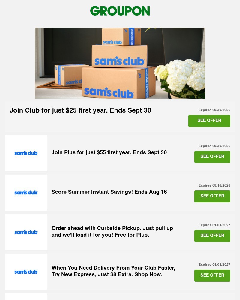 Screenshot of email sent to a Groupon Newsletter subscriber