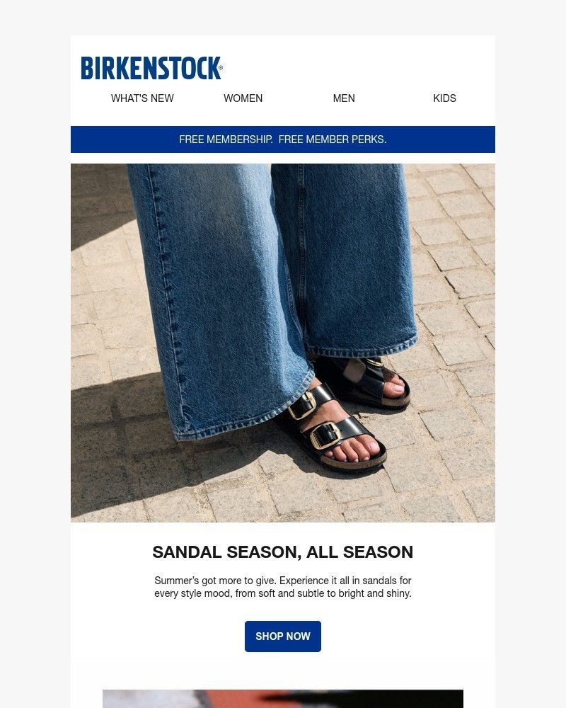 Screenshot of email with subject /media/emails/sandal-seasons-got-more-to-give-f39884-cropped-0ba81a16.jpg