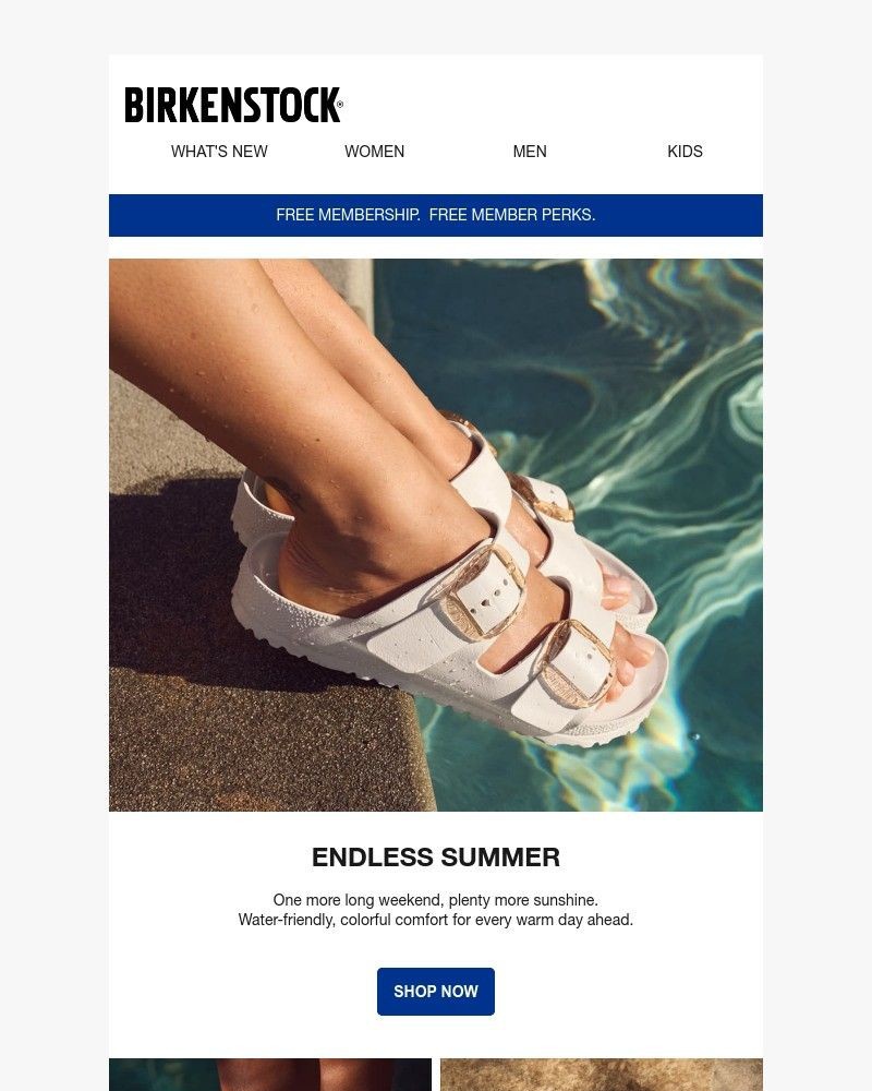 Screenshot of email with subject /media/emails/sandals-for-your-labor-day-getaway-2638bd-cropped-46606ee6.jpg
