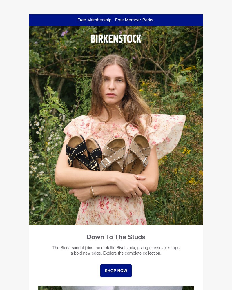 Screenshot of email sent to a Birkenstock Newsletter subscriber