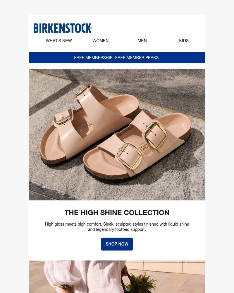 Screenshot of email with subject /media/emails/sandals-that-shine-sneakers-with-sheen-669665-cropped-568e9f16.jpg