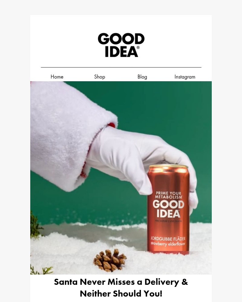 Screenshot of email with subject /media/emails/santa-never-misses-a-delivery-neither-should-you-44be4b-cropped-456161b8.jpg