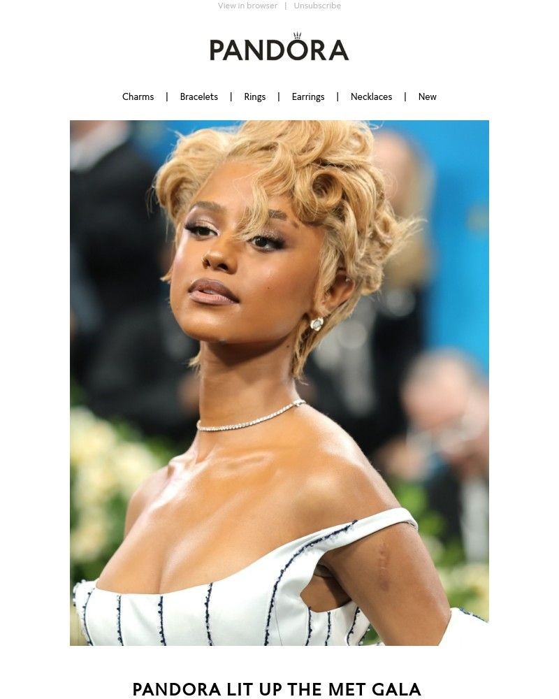 Screenshot of email with subject /media/emails/sarah-did-you-see-our-big-entrance-at-the-met-gala-4e6a14-cropped-e08ba793.jpg