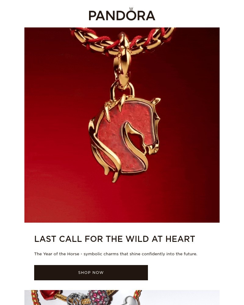 Screenshot of email with subject /media/emails/sarah-rein-in-your-shine-e90863-cropped-d5165de7.jpg