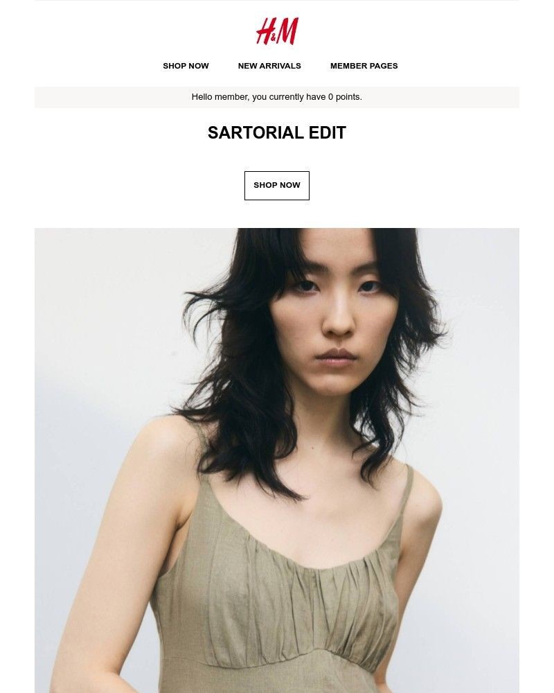 Screenshot of email with subject /media/emails/sartorial-edit-a25757-cropped-d65bc82b.jpg