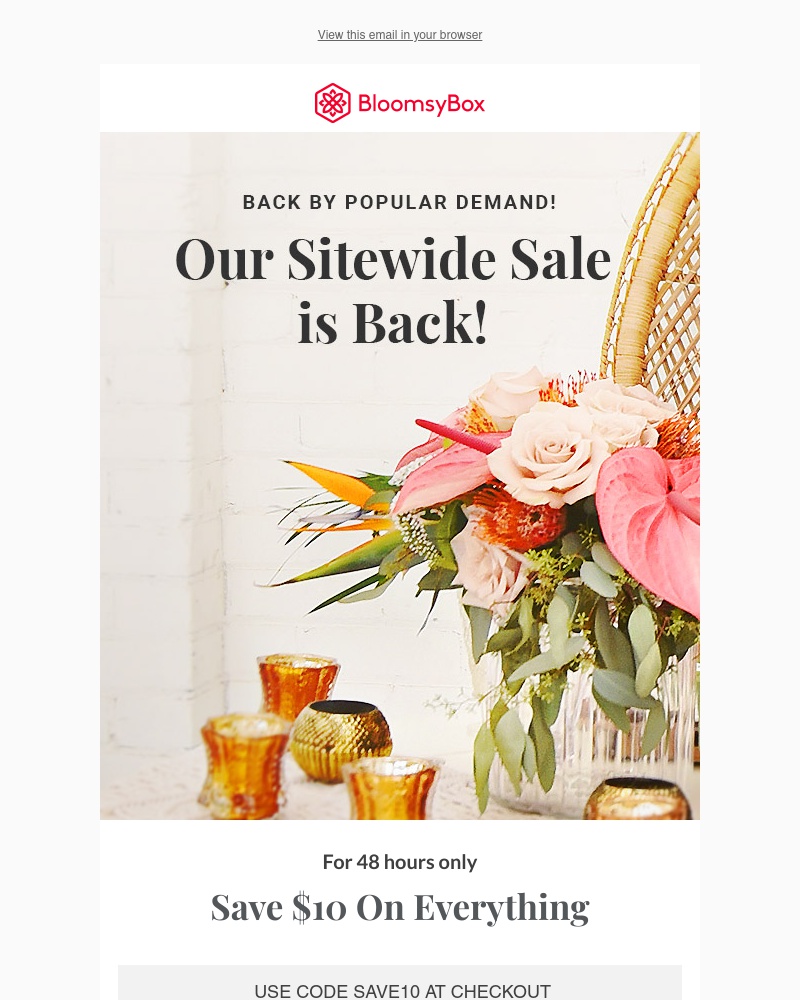 Screenshot of email with subject /media/emails/save-10-back-by-popular-demand-a3a8f4-cropped-b5244028.jpg