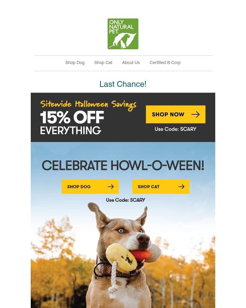 Screenshot of email with subject /media/emails/save-15-before-halloween-deals-vanish-691091-cropped-f7c9be5c.jpg