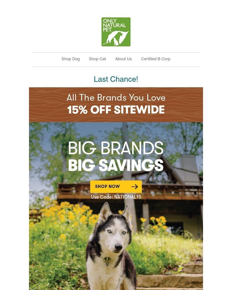 Screenshot of email with subject /media/emails/save-15-on-national-brands-now-2cf40c-cropped-dde041e9.jpg