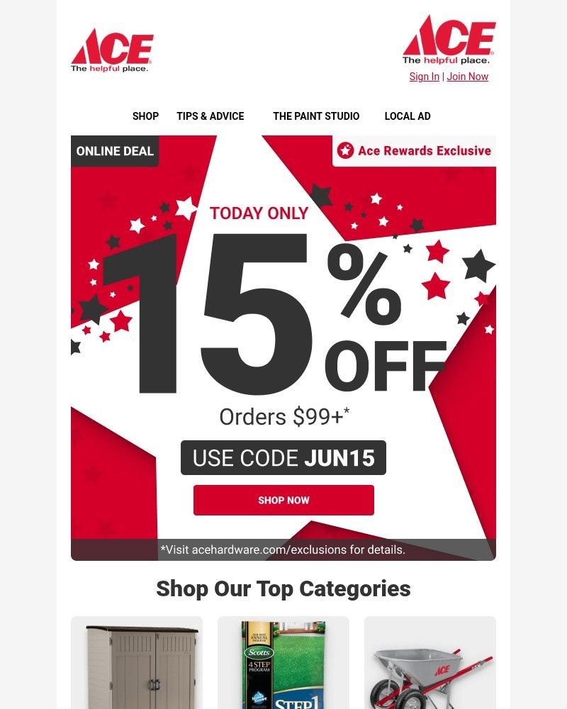 Screenshot of email sent to a Ace Hardware Newsletter subscriber