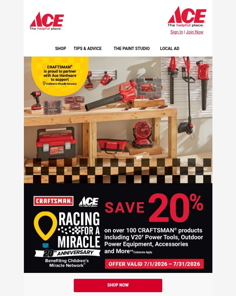 Screenshot of email sent to a Ace Hardware Newsletter subscriber