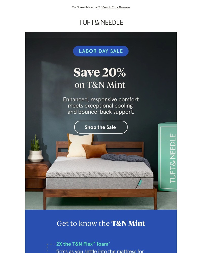 Screenshot of email with subject /media/emails/save-20-on-tn-mint-mattress-ebe55c-cropped-0ed24f55.jpg