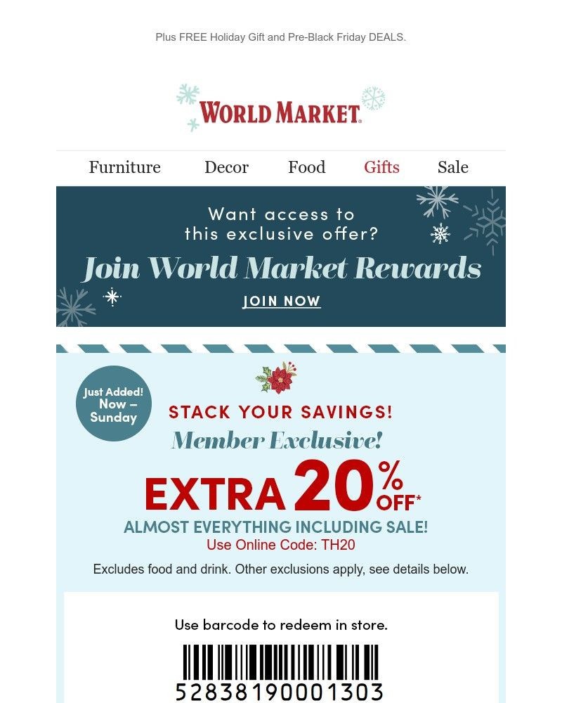 Screenshot of email with subject /media/emails/save-20-on-your-entire-purchase-820f89-cropped-2ea36aa5.jpg