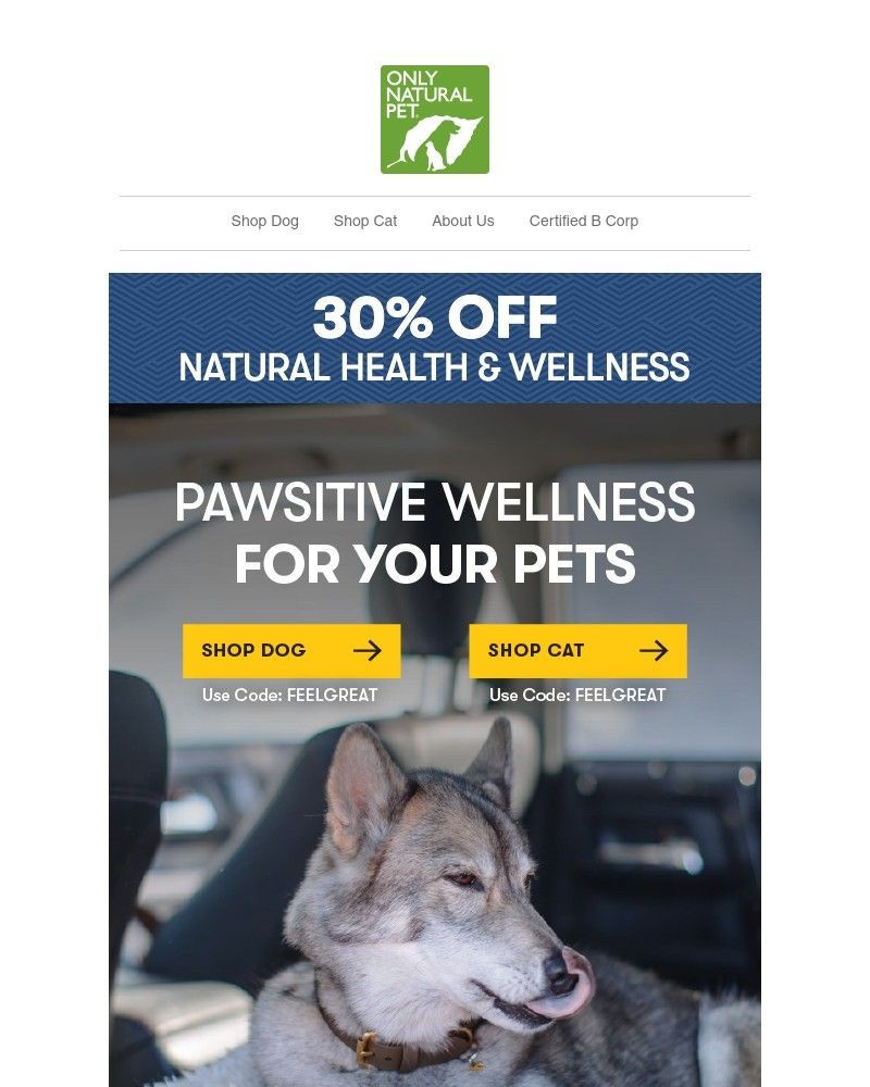 Screenshot of email with subject /media/emails/save-30-on-your-pets-health-wellness-a194c3-cropped-ac316c43.jpg
