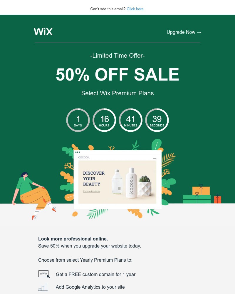 Screenshot of email sent to a Wix Registered user