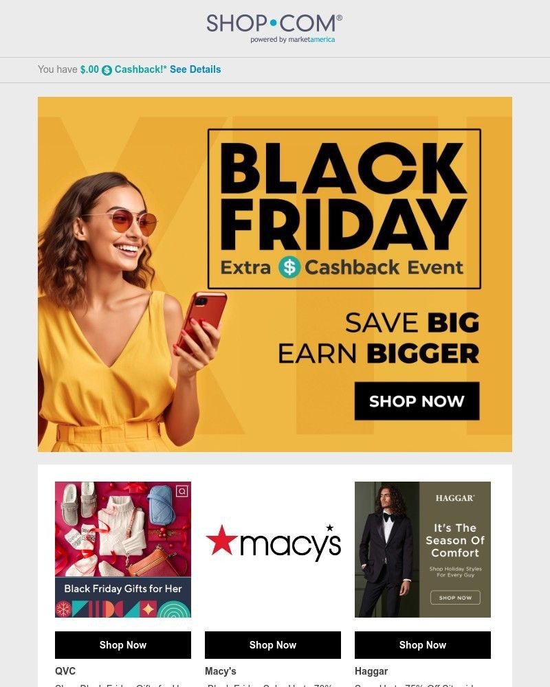 Screenshot of email with subject /media/emails/save-big-on-black-friday-hot-deals-c466ff-cropped-c6d841ba.jpg