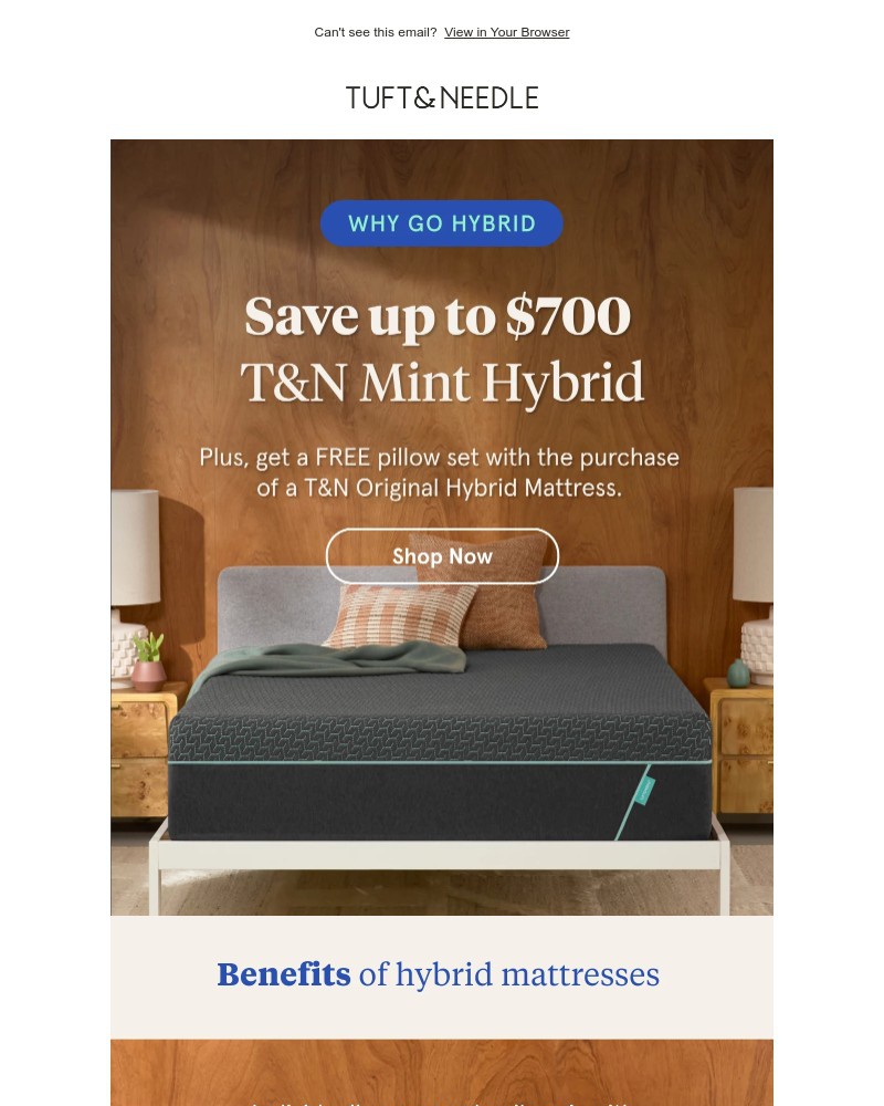 Screenshot of email with subject /media/emails/save-big-on-our-most-loved-hybrids-eda1c5-cropped-a6312461.jpg