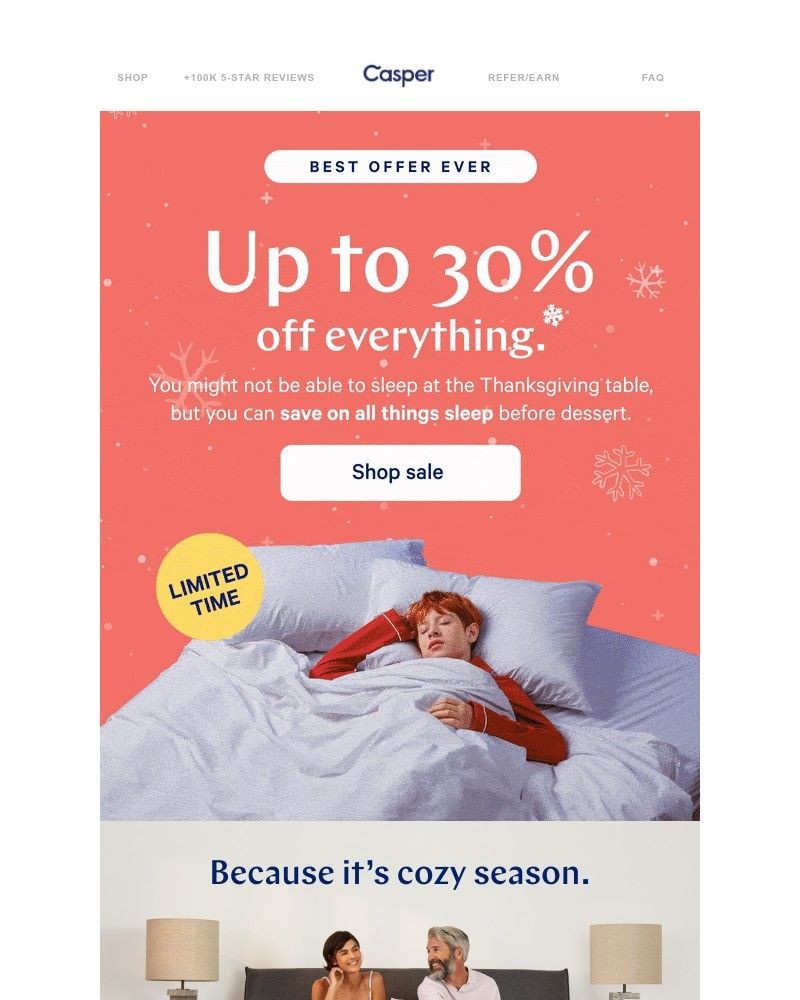 Screenshot of email with subject /media/emails/save-big-on-the-coziest-post-turkey-nap-33fd36-cropped-1b80e386.jpg